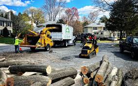 Best Tree Risk Assessment  in Dakota City, NE